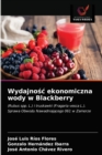 Wydajno&#347;c ekonomiczna wody w Blackberry - Book