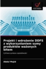 Projekt i wdro&#380;enie DDFS z wykorzystaniem sumy produktow wa&#380;onych bitem - Book