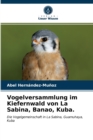 Vogelversammlung im Kiefernwald von La Sabina, Banao, Kuba. - Book