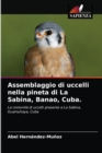 Assemblaggio di uccelli nella pineta di La Sabina, Banao, Cuba. - Book