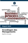 Grundlagen des Managements - Book