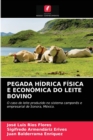 Pegada Hidrica Fisica E Economica Do Leite Bovino - Book