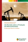 Um Revisao sobre a Producao de Hidrocarbonetos - Book
