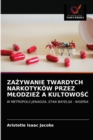 Za&#379;ywanie Twardych Narkotykow Przez Mlodzie&#379; A Kultowo&#346;&#262; - Book