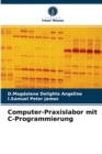 Computer-Praxislabor mit C-Programmierung - Book