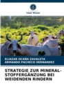 Strategie Zur Mineral-Stofferganzung Bei Weidenden Rindern - Book