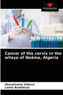 Cancer of the cervix in the wilaya of Naama, Algeria - Book