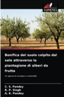 Bonifica del suolo colpito dal sale attraverso la piantagione di alberi da frutta - Book