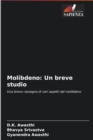Molibdeno : Un breve studio - Book