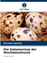 Die Geheimnisse der Wachtelaufzucht - Book