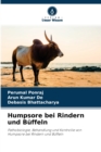 Humpsore bei Rindern und Buffeln - Book