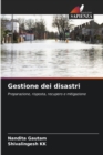 Gestione dei disastri - Book