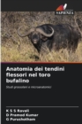 Anatomia dei tendini flessori nel toro bufalino - Book