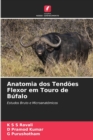 Anatomia dos Tendoes Flexor em Touro de Bufalo - Book