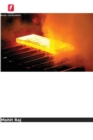 Estudo Comportamental da Metalurgia do Po - Book