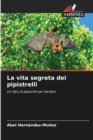 La vita segreta dei pipistrelli - Book