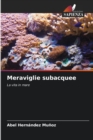 Meraviglie subacquee - Book