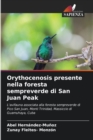 Orythocenosis presente nella foresta sempreverde di San Juan Peak - Book