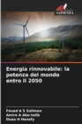 Energia rinnovabile : la potenza del mondo entro il 2050 - Book