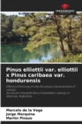 Pinus elliottii var. elliottii x Pinus caribaea var. hondurensis - Book