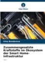 Zusammengesetzte Kraftstoffe im Okosystem der Smart Home-Infrastruktur - Book