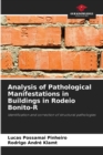 Analysis of Pathological Manifestations in Buildings in Rodeio Bonito-R - Book