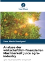 Analyse der wirtschaftlich-finanziellen Machbarkeit Juice agro-industry - Book