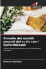 Rimedio dei metalli pesanti dal suolo con i biofertilizzanti - Book