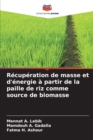 Recuperation de masse et d'energie a partir de la paille de riz comme source de biomasse - Book