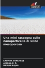 Una mini rassegna sulle nanoparticelle di silice mesoporosa - Book