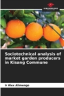 Sociotechnical analysis of market garden producers in Kisang Commune - Book