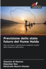 Previsione dello stato futuro del fiume Halda - Book
