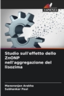 Studio sull'effetto dello ZnONP nell'aggregazione del lisozima - Book