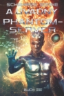Schwarze Sonne (Phantom-Server Buch 3) : LitRPG-Serie - Book