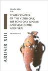 Abusir XIII : Abusir South 2: Tomb Complex of the Vizier Qar, His Sons Qar Junior and Senedjemib and Iykai - Book