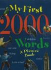 My First 2000 Words : A Picture Book - Book