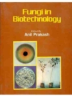 Fungi in Biotechnology - Book