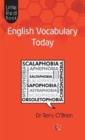 Little Red Book English Vocabulary Today - Book