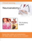 The Auditory System - eBook