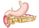 Pancreatic Function Test Part 2 - eBook