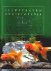 Sea World : Illustrated Encyclopedia - Book
