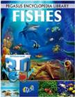 3D Fishes - Book