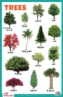 Trees Educational Chart - Book