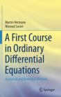 A First Course in Ordinary Differential Equations : Analytical and Numerical Methods - Book