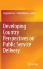 Developing Country Perspectives on Public Service Delivery - Book