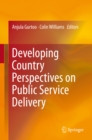Developing Country Perspectives on Public Service Delivery - eBook