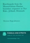 Brachiopods from the Maastrichtian : Danian Boundary Sequence at Nye Klov, Jylland, Denmark - Book