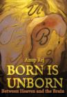 Born Is Unborn Between Heaven and the Brain - Book