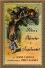 Alice's ?fventyr i Sagolandet - Book