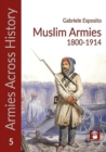 Muslim Armies 1800-1914 - Book